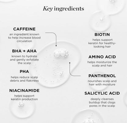 Diagram of key hair care ingredients including caffeine, BHA, AHA, PHA, niacinamide, biotin, amino acid, panthenol, and salicylic acid with benefits